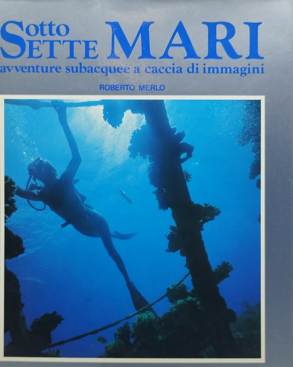 sotto sette mari avventure subacquee a caccia di immagini