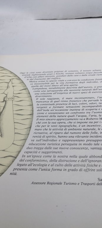 sotto sette mari avventure subacquee a caccia di immagini