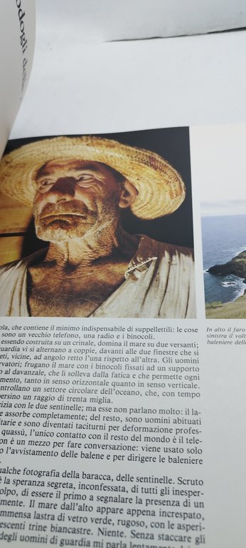 sotto sette mari avventure subacquee a caccia di immagini