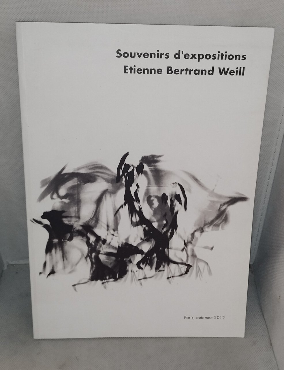 souvenirs d'expositions etienne bertrand weill | Immagine principale