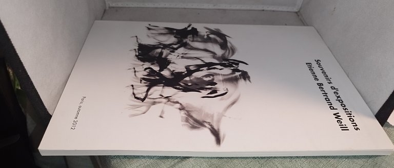 souvenirs d'expositions etienne bertrand weill | Immagine Gallery 3