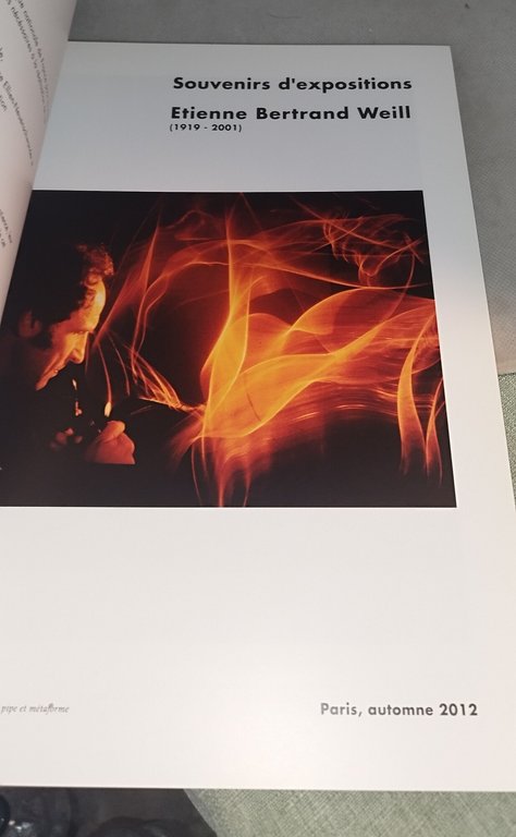 souvenirs d'expositions etienne bertrand weill | Immagine Gallery 5