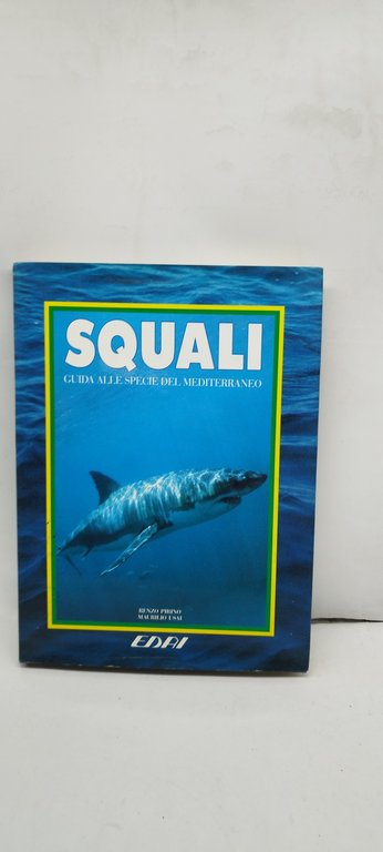 squali guida alle specie del mediterraneo