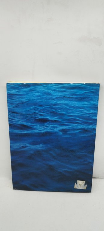 squali guida alle specie del mediterraneo