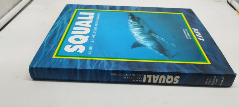 squali guida alle specie del mediterraneo