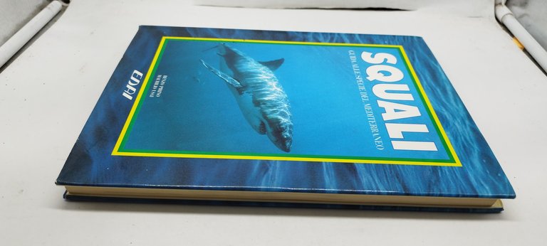 squali guida alle specie del mediterraneo