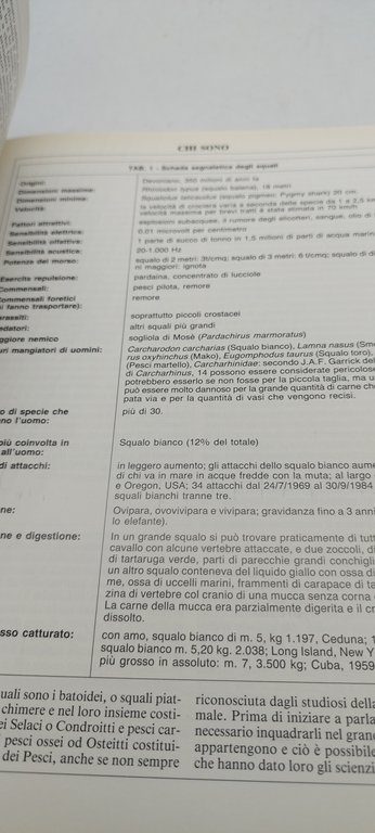 squali guida alle specie del mediterraneo