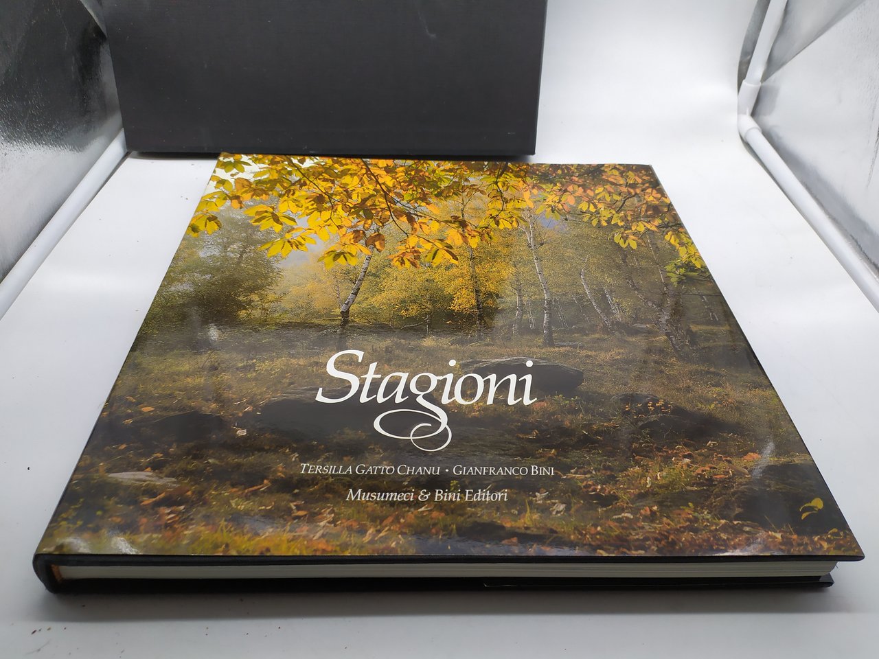 stagioni tersilla gatto chanu gianfranco bini musumeci e bini editori