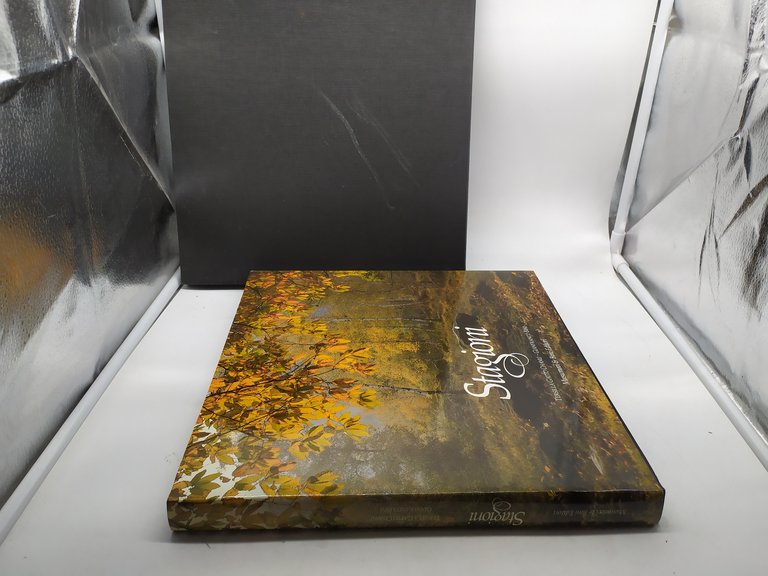 stagioni tersilla gatto chanu gianfranco bini musumeci e bini editori