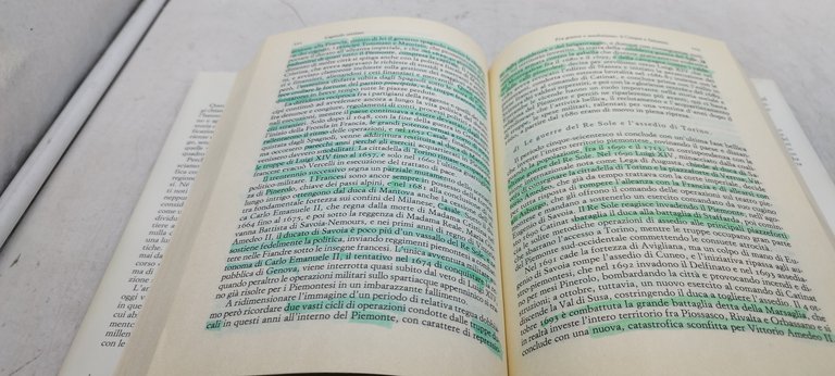 storia del piemonte dalla preistoria alla globalizzazione einaudi