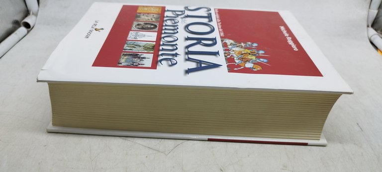 storia del piemonte michele ruggero