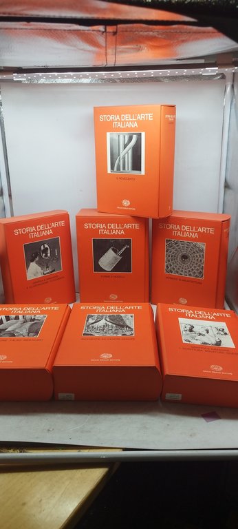storia dell'arte italiana 12 volumi einaudi