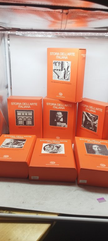 storia dell'arte italiana 12 volumi einaudi