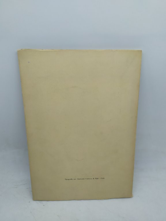 storia dell'ospedale maggiore di chieri tirsi mario caffaratto