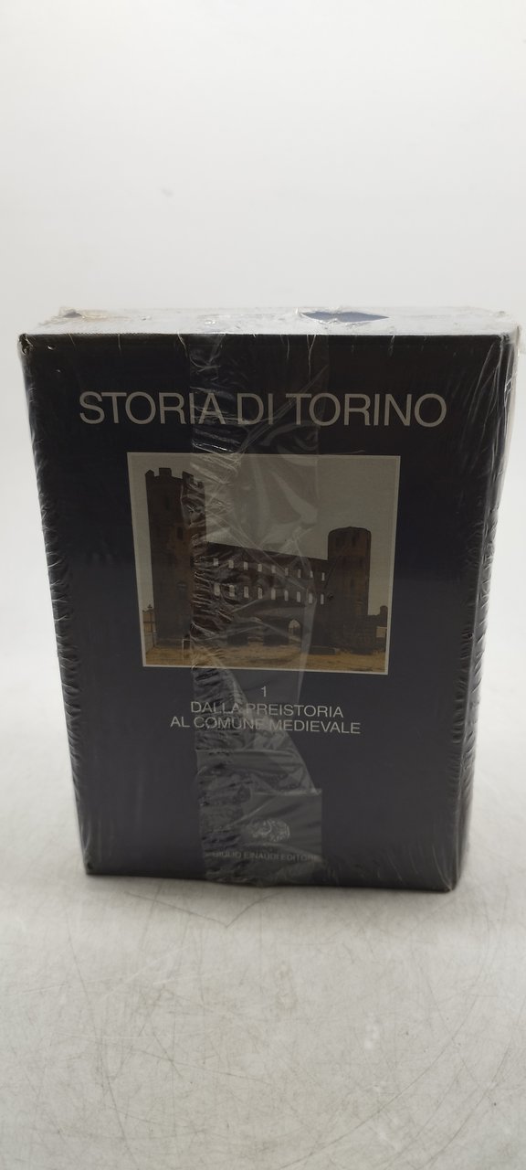 storia di torino einaudi volumi 1 chiuso ancora