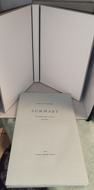 summary the book where the rain was born | Immagine Gallery 4