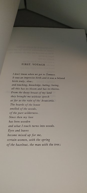 summary the book where the rain was born | Immagine Gallery 5