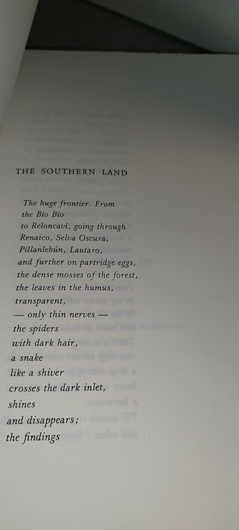 summary the book where the rain was born | Immagine Gallery 6