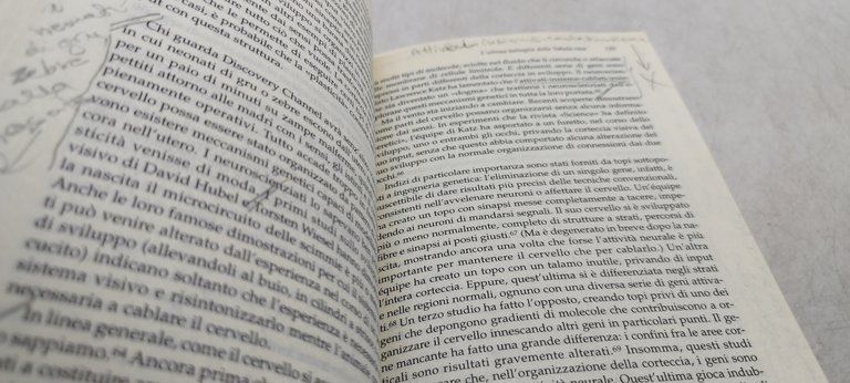 tabula rasa perchè non è vero che gli uomini nascono …
