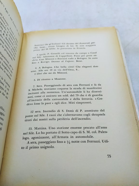 taccuino di guerra cesare de lollis sansoni