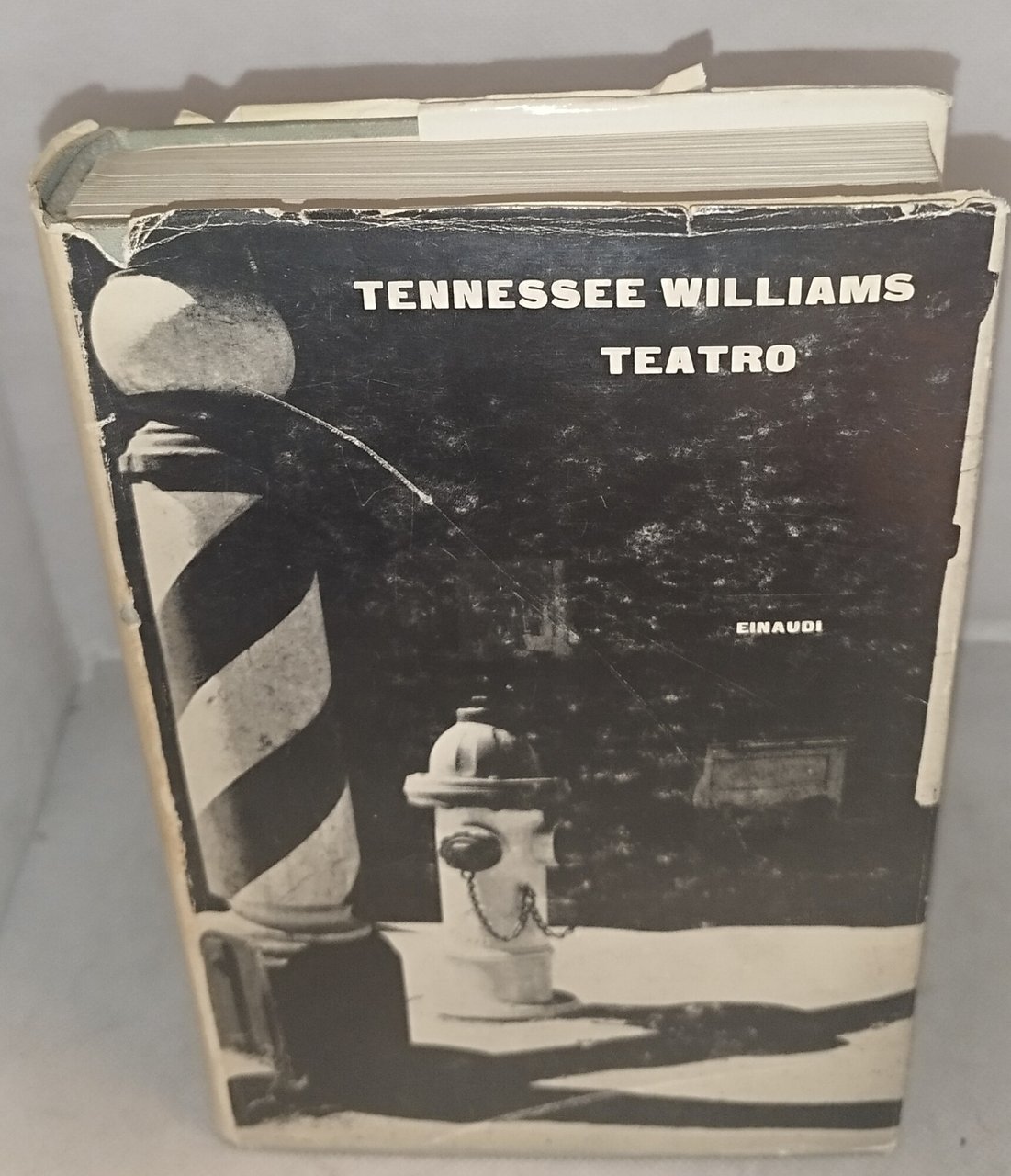 tennessee williams teatro einaudi | Immagine principale
