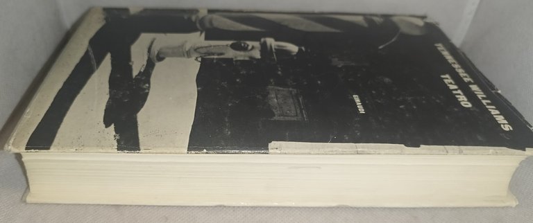 tennessee williams teatro einaudi | Immagine Gallery 3