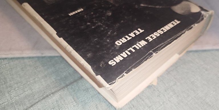 tennessee williams teatro einaudi | Immagine Gallery 5