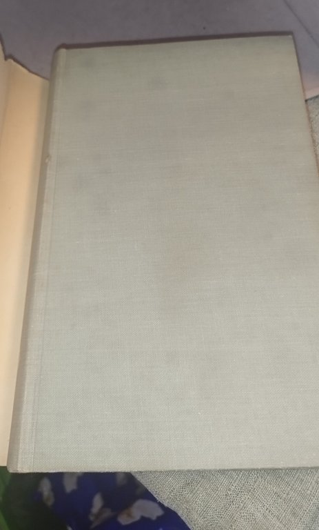 tennessee williams teatro einaudi | Immagine Gallery 8