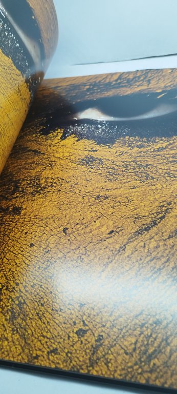 the last african warriors edizione illustrata