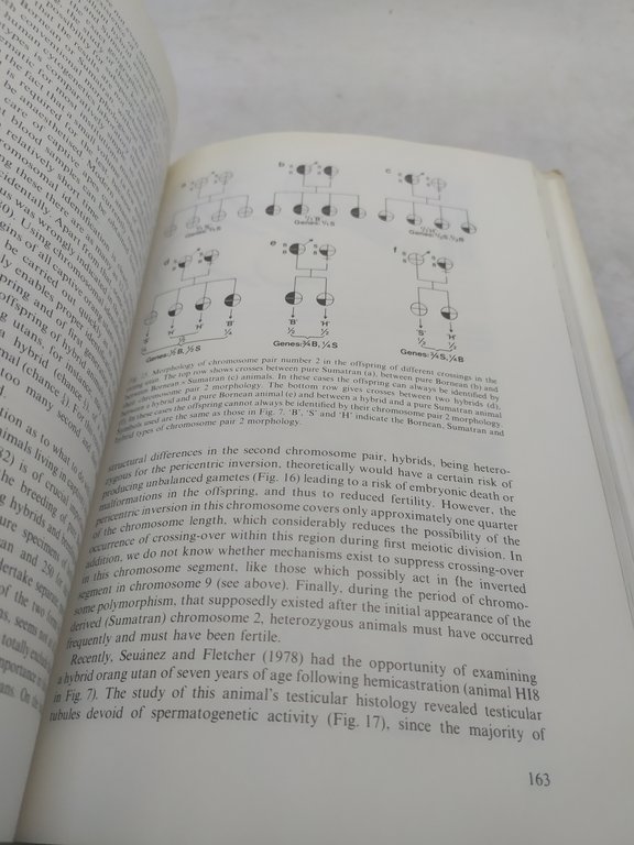 the orang utan its biology and conservation leobert e.m. de …