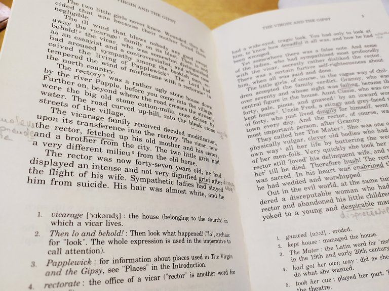 the virgin and the gipsy d.h. lawrence cideb