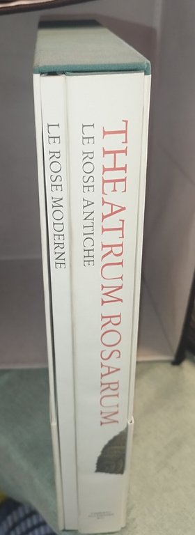 theatrum rosarum le rose moderne elena accati e di elena … | Immagine Gallery 2