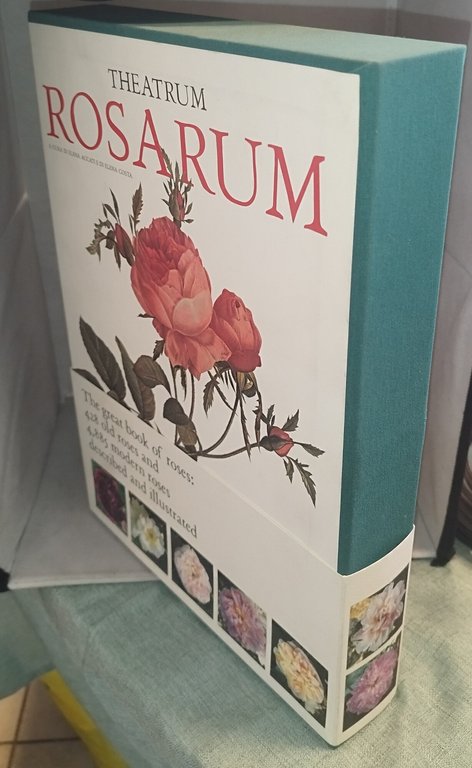 theatrum rosarum le rose moderne elena accati e di elena … | Immagine Gallery 3