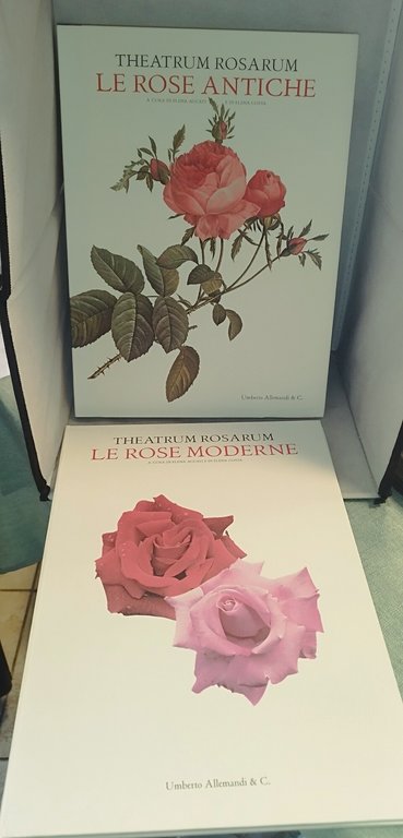 theatrum rosarum le rose moderne elena accati e di elena … | Immagine Gallery 4