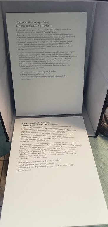 theatrum rosarum le rose moderne elena accati e di elena … | Immagine Gallery 5