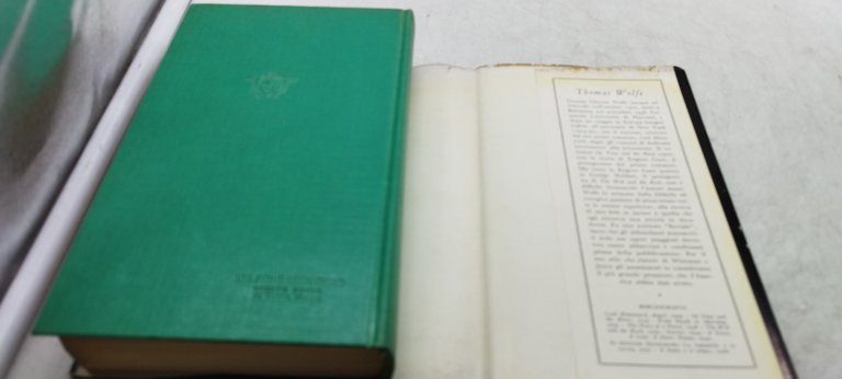 thomas wolfe il fiume e il tempo mondadori
