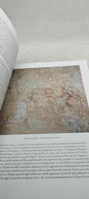 tiziano il principe dè pittori