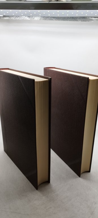 tommaso bellini dizionario della lingua italiana volume 3 parte I …