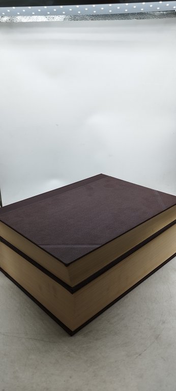 tommaso bellini dizionario della lingua italiana volumw 4 parte I …
