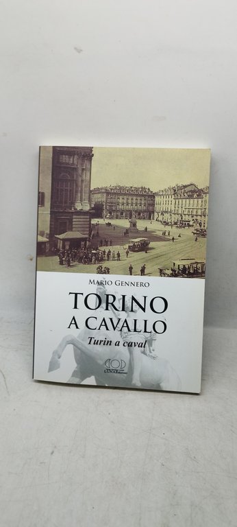 torino a cavallo turin a caval