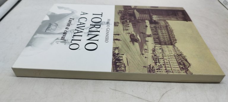 torino a cavallo turin a caval