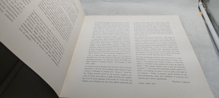 torino di felice vellan