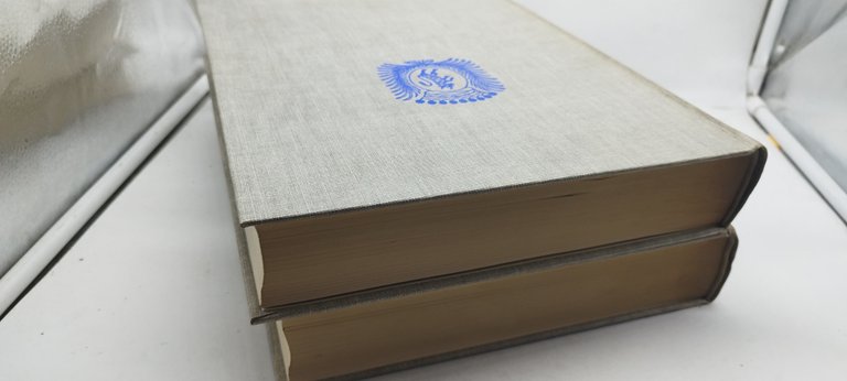 torino nei secoli 2 volumi ada peyrot