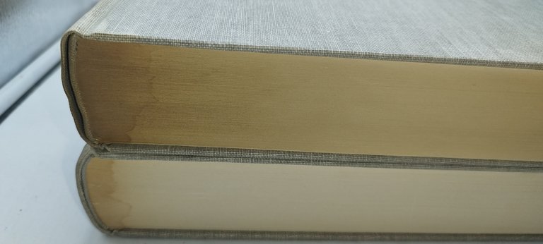 torino nei secoli 2 volumi ada peyrot