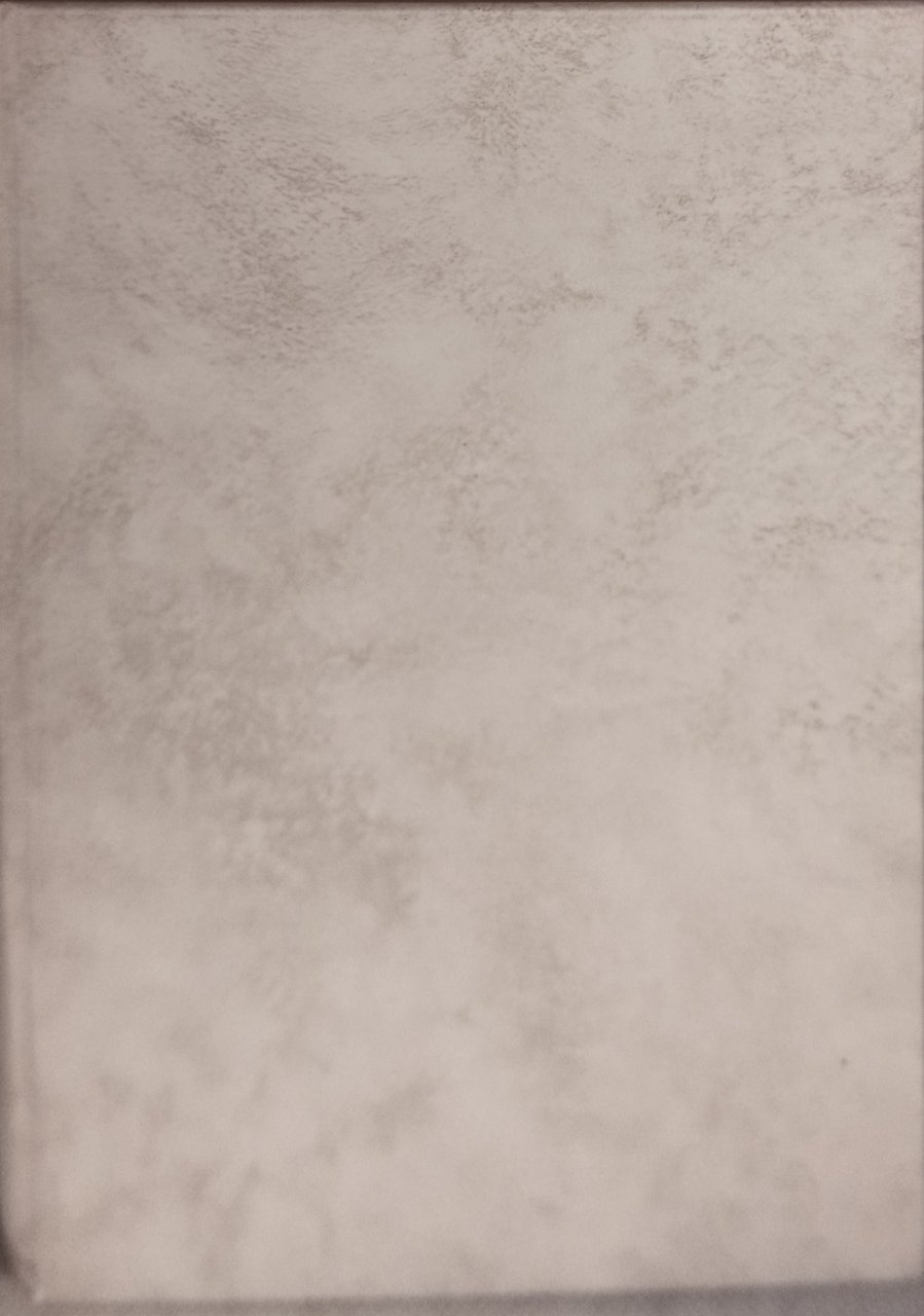 torino roux e favale 1880