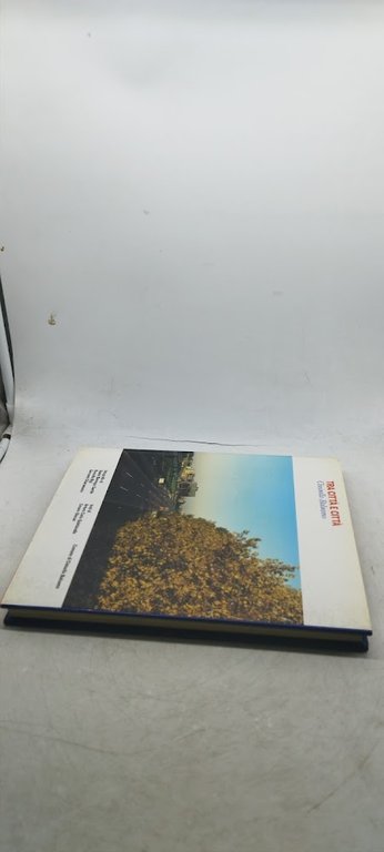 tra città e città cinisello balsamo