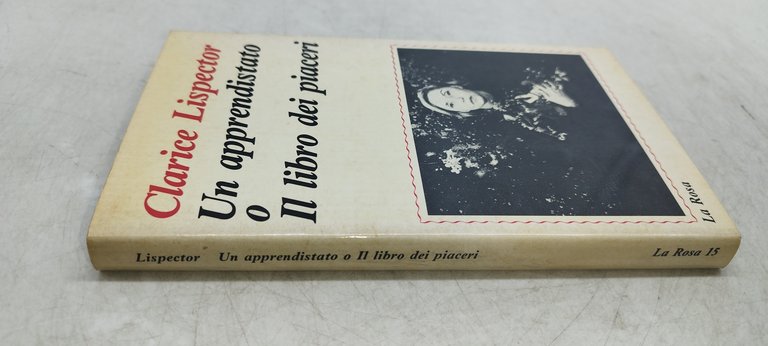 un apprendistato o il libro dei piaceri