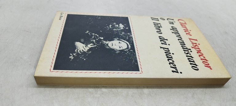 un apprendistato o il libro dei piaceri