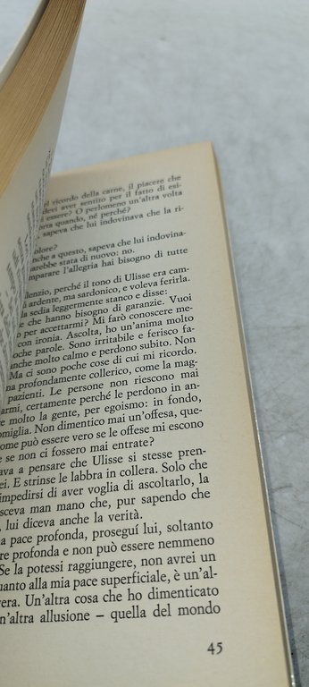 un apprendistato o il libro dei piaceri