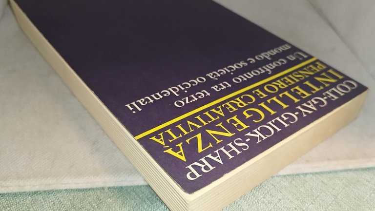 un confronto tra terzo mondo e società occidentale | Immagine Gallery 8
